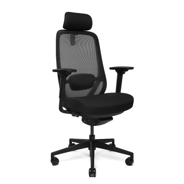 Ergonoomiline tool "Glory" must